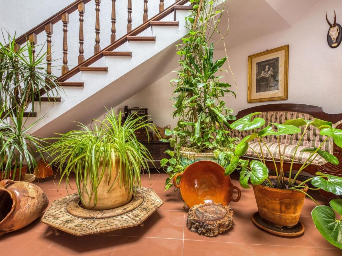 Belvilla By Oyo Beautiful House In A Unique Town 伊格拉德拉谢拉 外观 照片